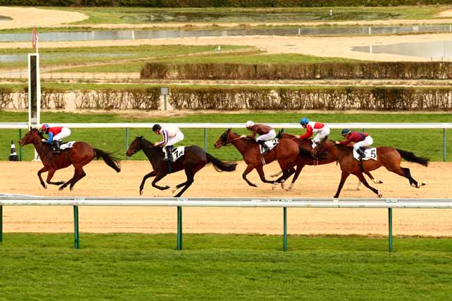Arrivée quinté pmu PRIX DE MASTAINVILLE à DEAUVILLE