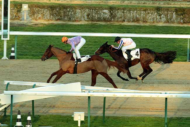 Arrivée quinté pmu PRIX DE LA BAIE DU MONT à DEAUVILLE