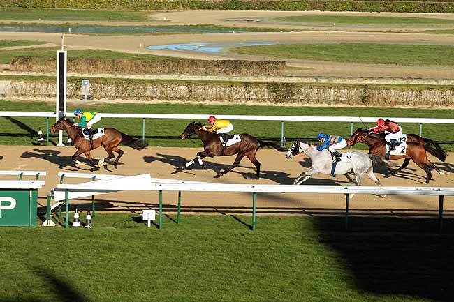 Arrivée quinté pmu PRIX DE RUCQUEVILLE à DEAUVILLE
