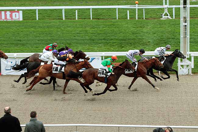 Arrivée quinté pmu PRIX DE CLAIREFONTAINE à CAGNES-SUR-MER