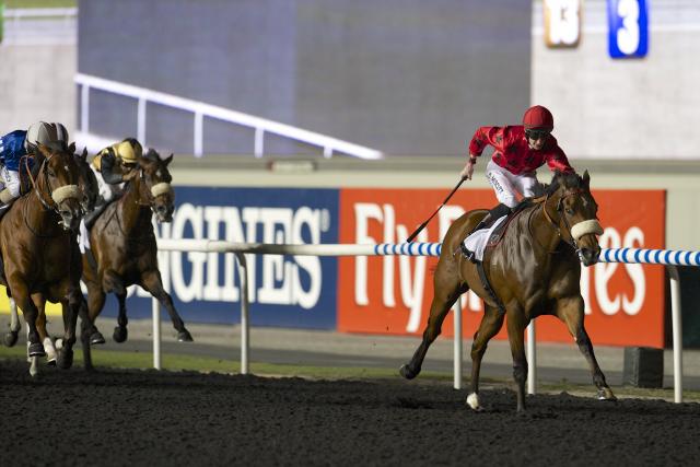 Arrivée quinté pmu WHEELS à MEYDAN