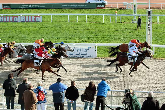 Arrivée quinté pmu PRIX DE MARSEILLE à CAGNES-SUR-MER
