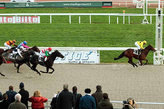 Arrivée quinté pmu PRIX DES OLIVIERS à CAGNES-SUR-MER