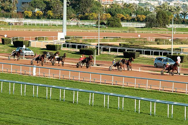 Arrivée quinté pmu PRIX DOLLAR DE MESLAY à CAGNES-SUR-MER