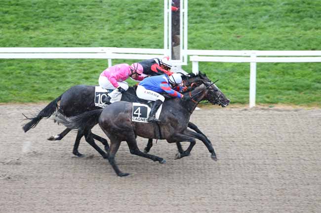 Arrivée quinté pmu PRIX DES CAMELIAS à CAGNES-SUR-MER