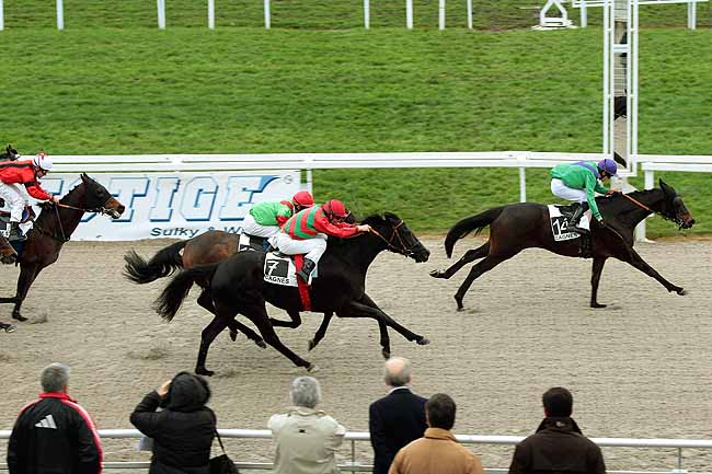 Arrivée quinté pmu PRIX DU RAYOL-CANADEL à CAGNES-SUR-MER