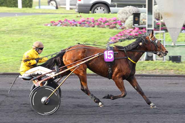 Arrivée quinté pmu PRIX DE BOURG-EN-BRESSE à PARIS-VINCENNES