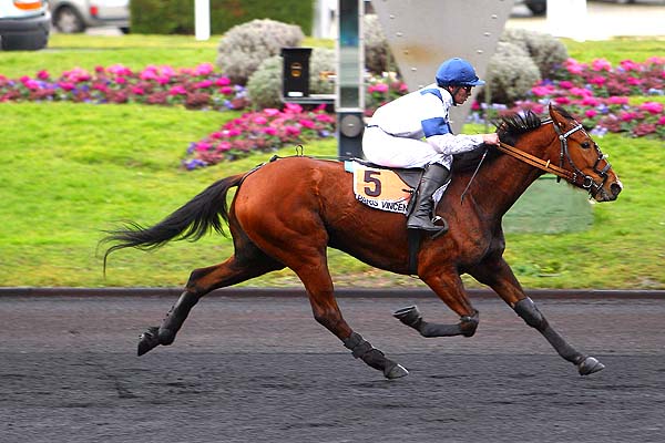 Arrivée quinté pmu PRIX ANDRE THERON - PRIX DE ROMORANTIN à PARIS-VINCENNES