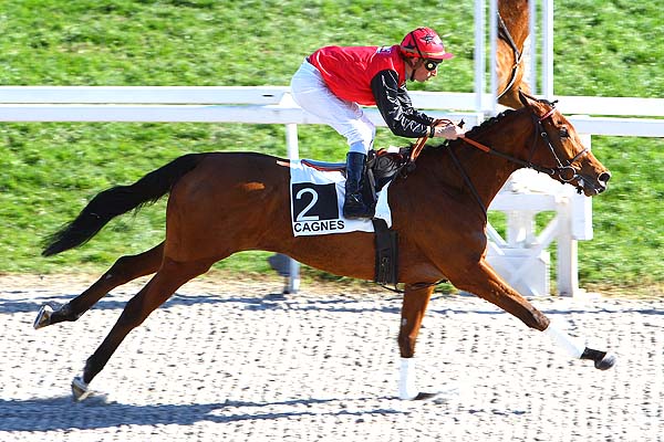 Arrivée quinté pmu PRIX DES BOURRACHES à CAGNES-SUR-MER