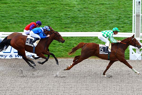 Arrivée quinté pmu PRIX DES SEMBOULES à CAGNES-SUR-MER