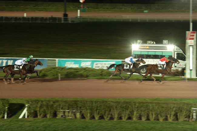 Arrivée quinté pmu PRIX DE MIMIZAN à ENGHIEN