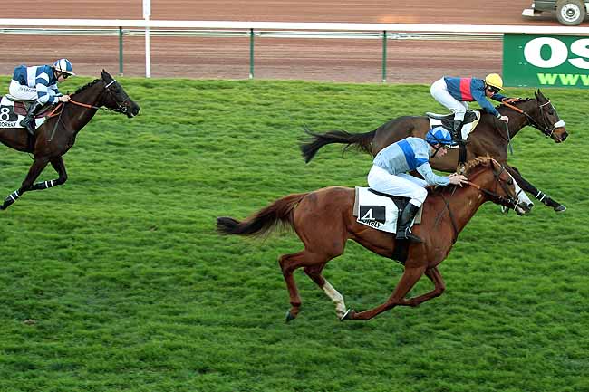 Arrivée quinté pmu PRIX DE SAINTE-TULLE à MARSEILLE-BORELY