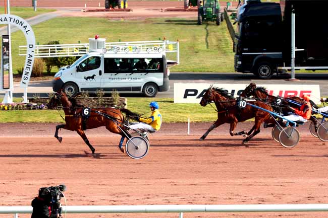 Arrivée quinté pmu PRIX DES TURFISTES à AMIENS