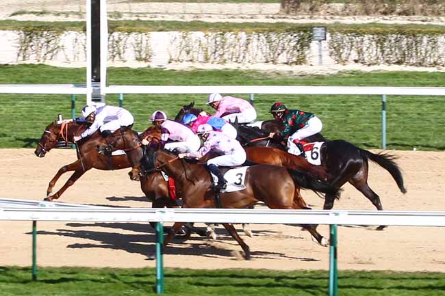 Arrivée quinté pmu PRIX DE LOUVIERS à DEAUVILLE
