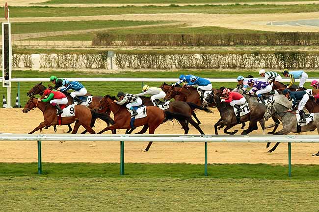 Arrivée quinté pmu PRIX DU PAYS DE BRAY à DEAUVILLE