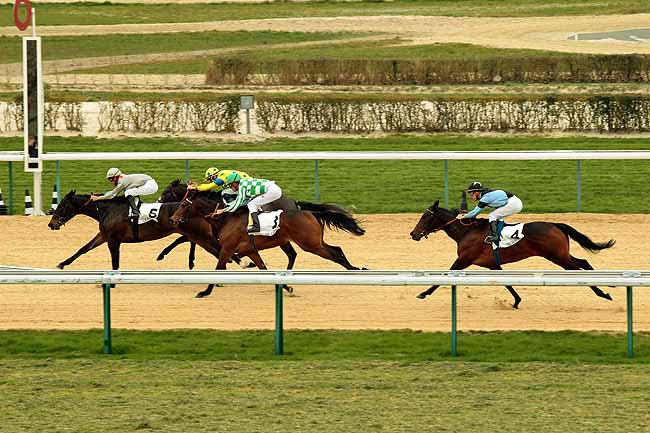Arrivée quinté pmu PRIX DU PERCHE à DEAUVILLE