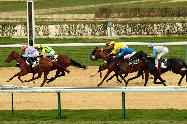 Arrivée quinté pmu PRIX DE LA VIE à DEAUVILLE