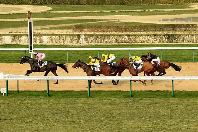 Arrivée quinté pmu PRIX DE COULONCES à DEAUVILLE