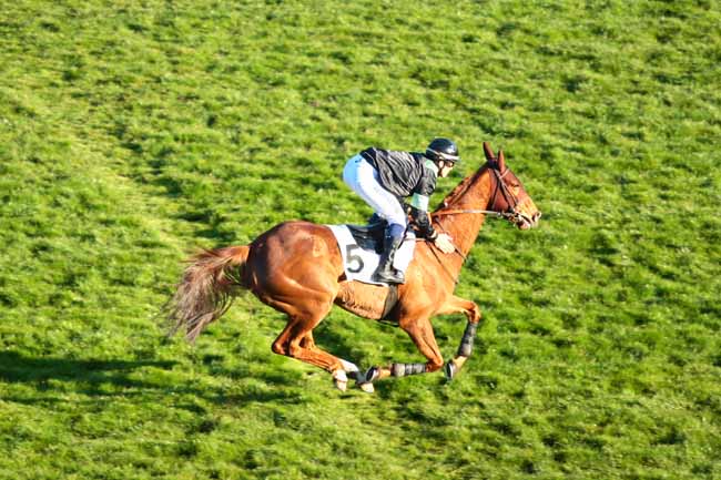 Arrivée quinté pmu PRIX RABASTENS à AUTEUIL