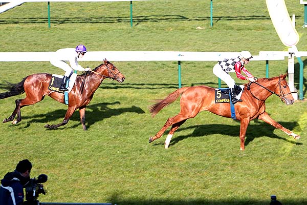 Arrivée quinté pmu PRIX DU POLYGONE à COMPIEGNE