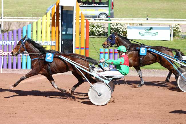 Arrivée quinté pmu PRIX DU CANAL DU MIDI à BEAUMONT-DE-LOMAGNE