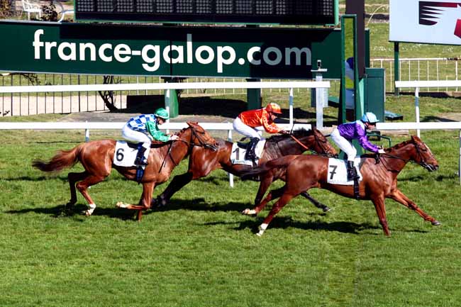 Arrivée quinté pmu PRIX NASRULLAH à SAINT-CLOUD