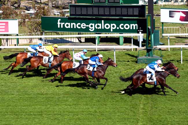 Arrivée quinté pmu PRIX PARADE D'AMOUR à SAINT-CLOUD