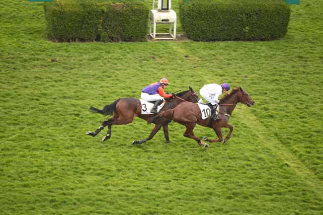 Arrivée quinté pmu PRIX ANDRE GIRARD à AUTEUIL