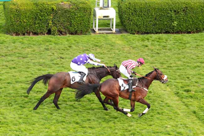 Arrivée quinté pmu PRIX COLONEL DE LA HORIE - CHALLENGE DE L'OBSTACLE GRAS-SAVOYE à AUTEUIL