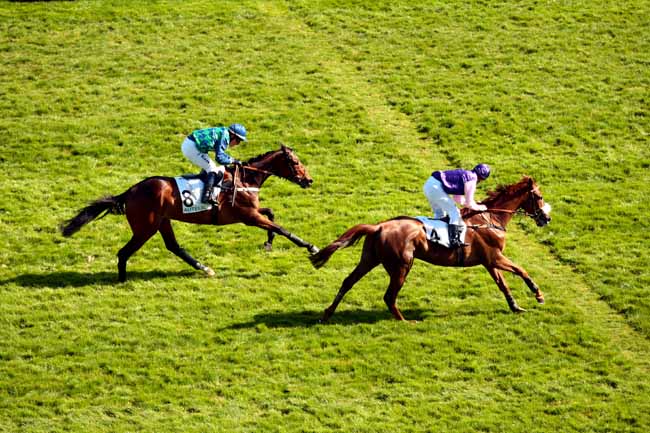 Arrivée quinté pmu PRIX FLEURET à AUTEUIL