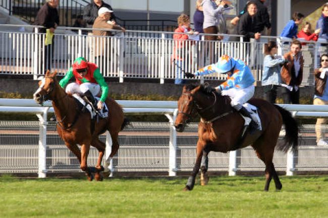 Arrivée quinté pmu PRIX HYPOTHESE à AUTEUIL