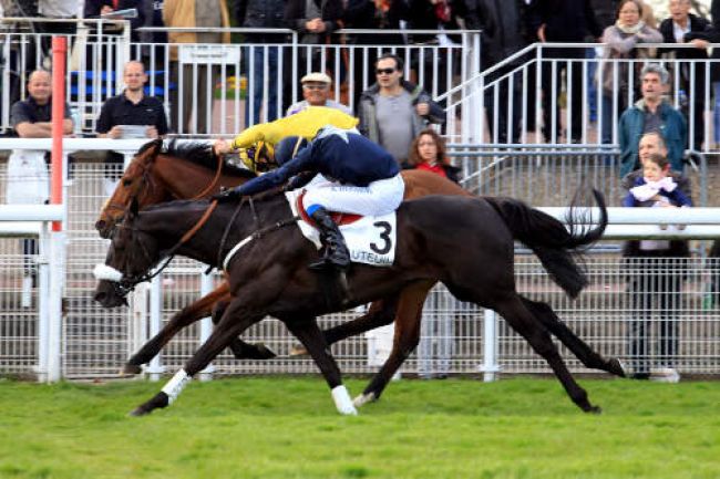 Arrivée quinté pmu PRIX HUBERT DE NAVAILLES à AUTEUIL