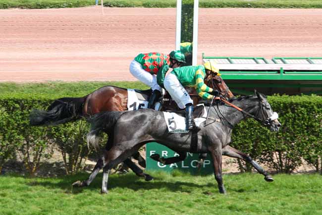 Arrivée quinté pmu PRIX AUBEPINE à ENGHIEN