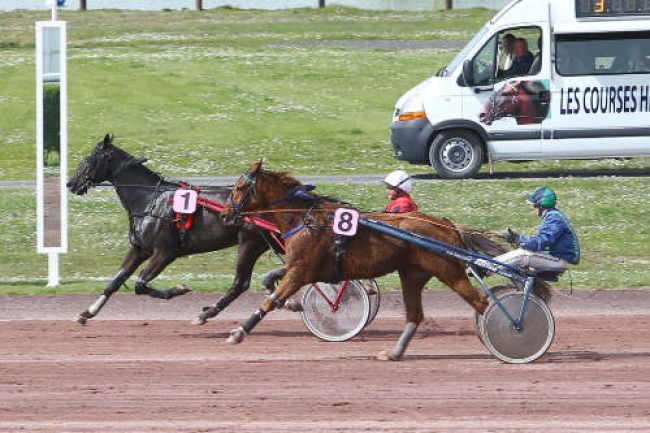 Arrivée quinté pmu PRIX GELINOTTE (GR A) à ANGERS