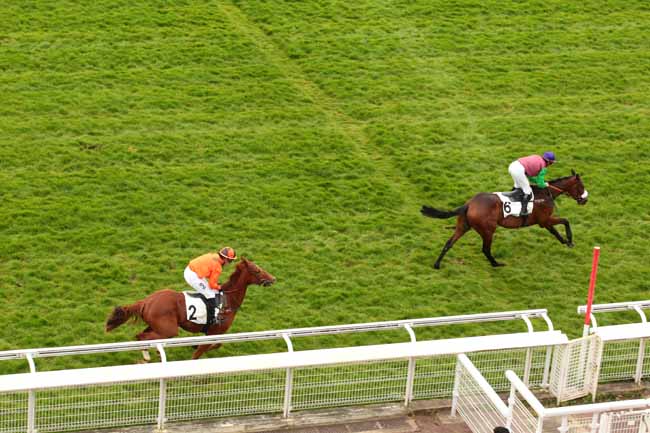 Arrivée quinté pmu PRIX CHAMPAUBERT à AUTEUIL