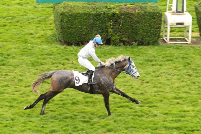 Arrivée quinté pmu PRIX MURAT à AUTEUIL