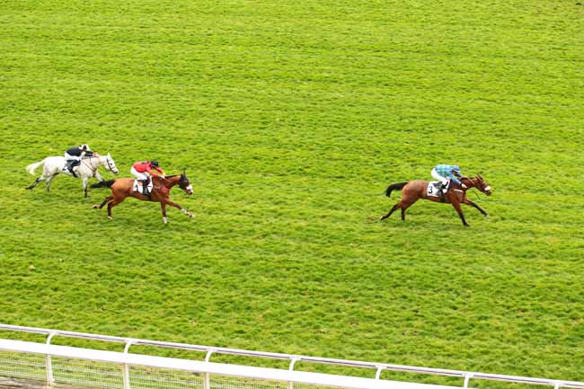 Arrivée quinté pmu PRIX ARTHUR VEIL-PICARD à AUTEUIL
