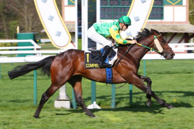 Arrivée quinté pmu PRIX DE VIGNEMONT à COMPIEGNE