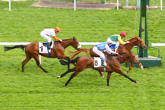 Arrivée quinté pmu PRIX CARACALLA à SAINT-CLOUD