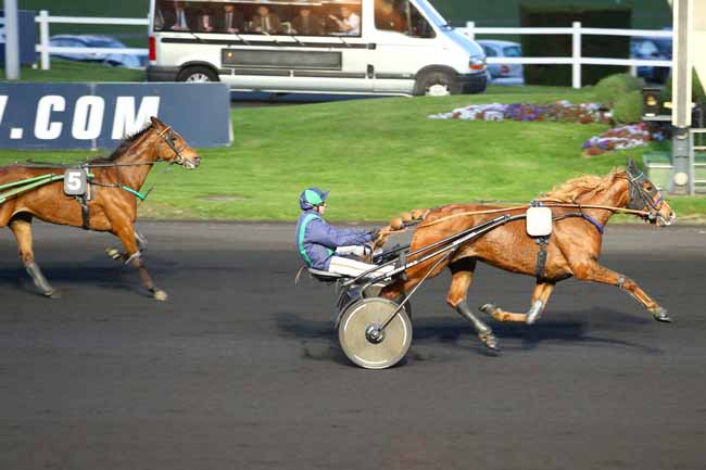Arrivée quinté pmu PRIX DOROPHEA à PARIS-VINCENNES