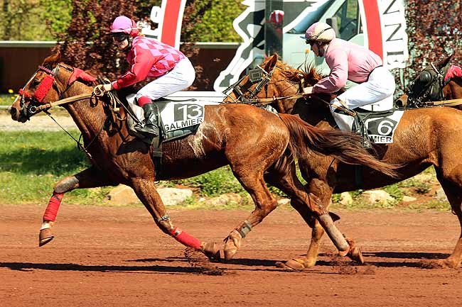Arrivée quinté pmu PRIX DE LA COMMUNAUTE DU PAYS DE SAINT-GALMIER à SAINT GALMIER