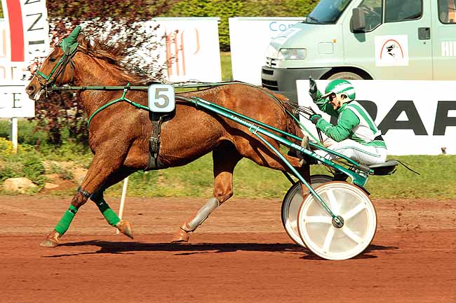 Arrivée quinté pmu PRIX DE LA MAISON PALLANDRE à SAINT GALMIER