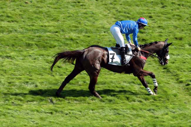 Arrivée quinté pmu PRIX DE SAUMUR à AUTEUIL