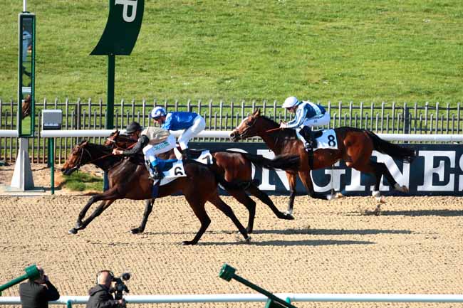 Arrivée quinté pmu PRIX DE LA CHAUSSEE PONTPOINT à CHANTILLY