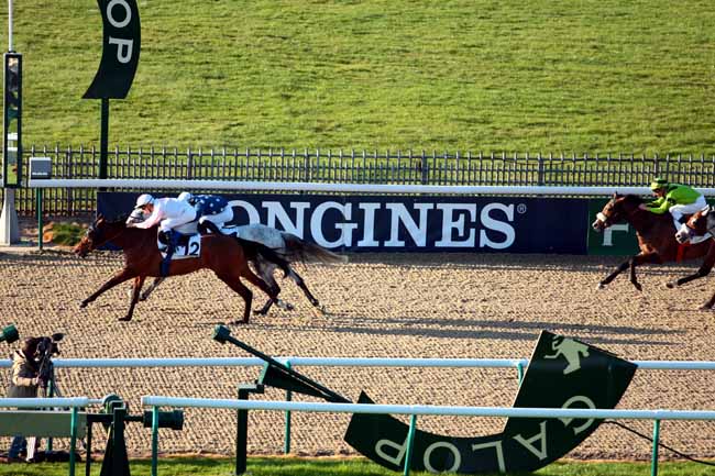 Arrivée quinté pmu PRIX DU MONT ALTA à CHANTILLY