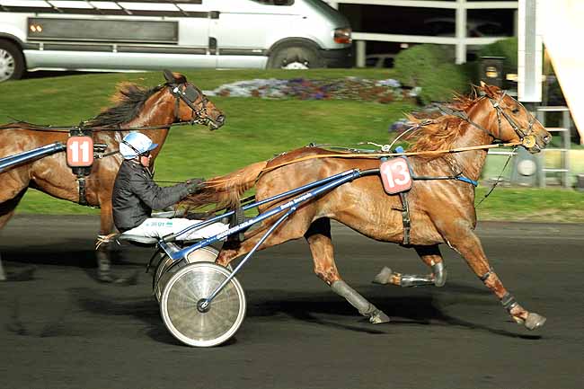 Arrivée quinté pmu PRIX ARIEL à PARIS-VINCENNES
