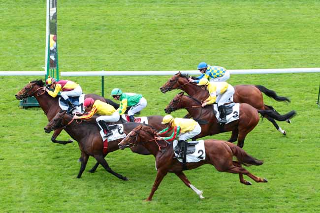 Arrivée quinté pmu PRIX DE LEVALLOIS à LONGCHAMP