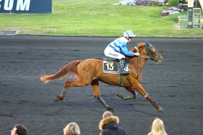 Arrivée quinté pmu PRIX ADRIA à PARIS-VINCENNES