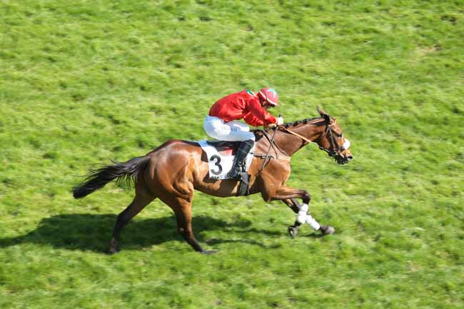 Arrivée quinté pmu PRIX DU VIVARAIS à AUTEUIL