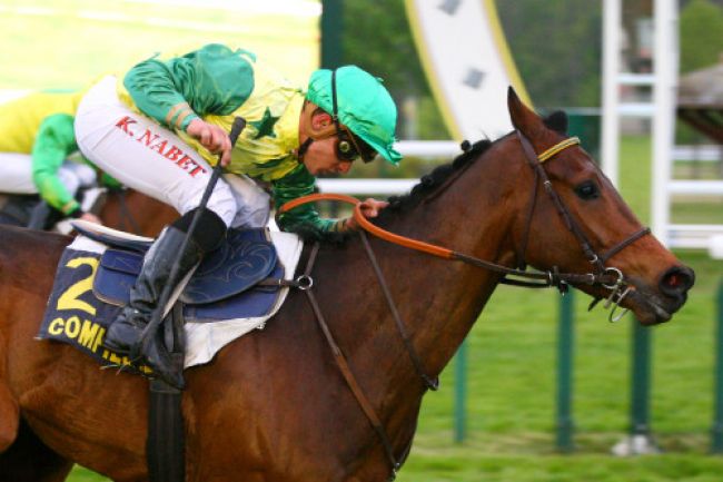 Arrivée quinté pmu PRIX KAP DREAM à COMPIEGNE